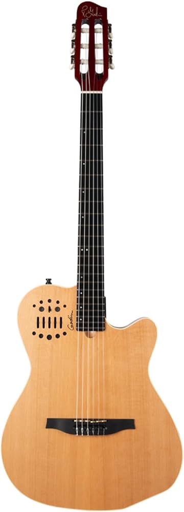 Amazon.com: Godin ACS-SA Slim - Natural Semi-Gloss : Musical