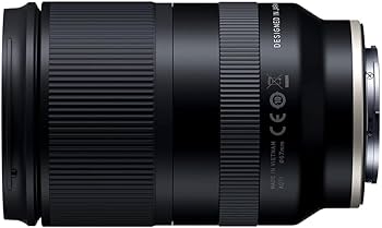 Amazon.com: Tamron 28-200mm f/2.8-5.6 Di III RXD Lens for Sony E