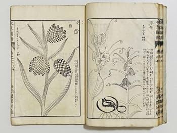 日本山草図譜 日本山草図譜 日本山草図譜