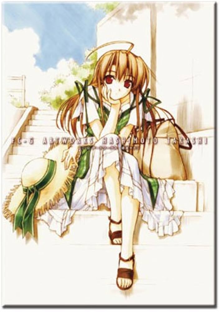 Amazon.co.jp: FC-G ARTWORKS HASHIMOTO TAKASHI : おもちゃ