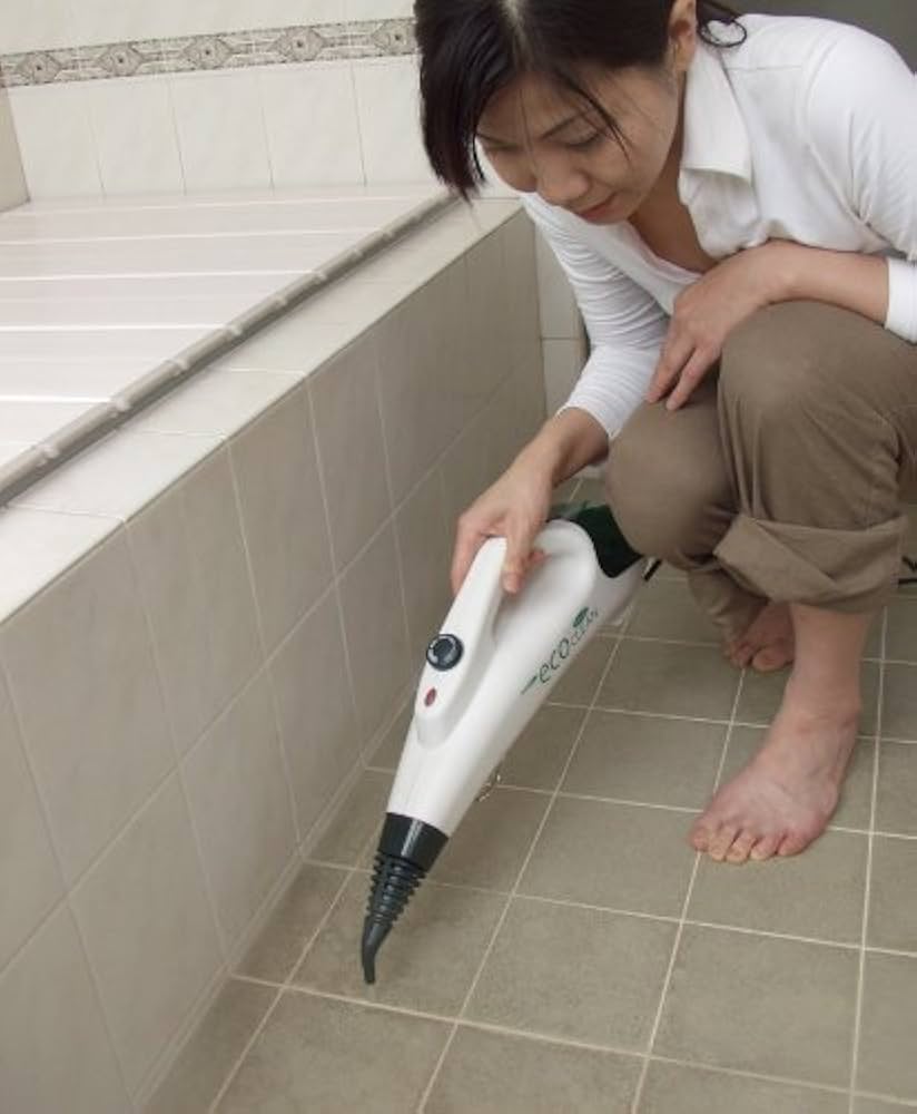 Amazon | クマザキエイム スチームクリーナー【エコ・クリーン