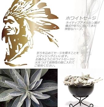 51-6faKSeXL._AC_UF350,