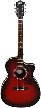 Amazon | GUILD (ギルド) エレアコギター アーチバック シリーズ