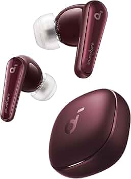 51-Xq389cFL._AC_UF350,