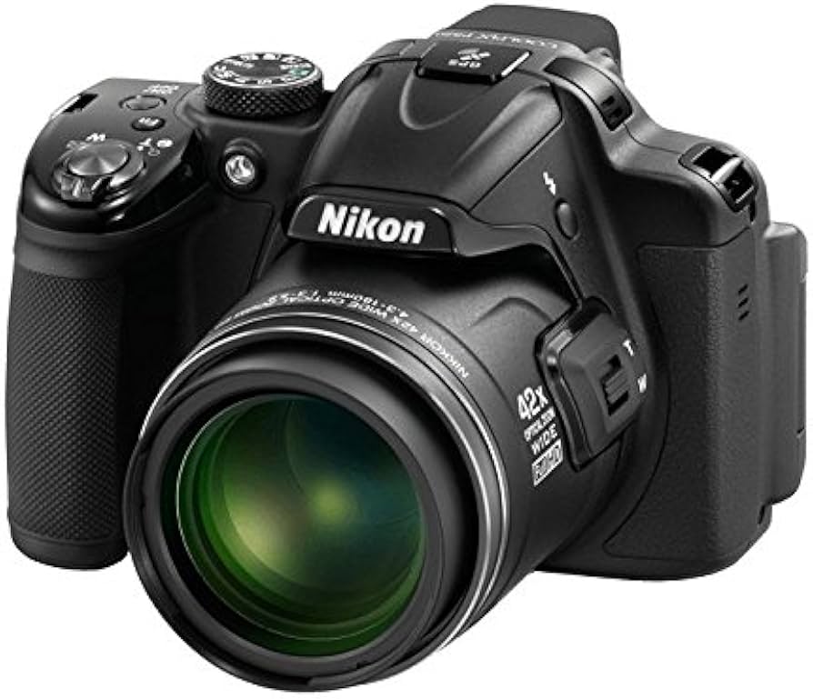 Amazon.com : Nikon COOLPIX P520 18.1 MP CMOS Digital Camera with