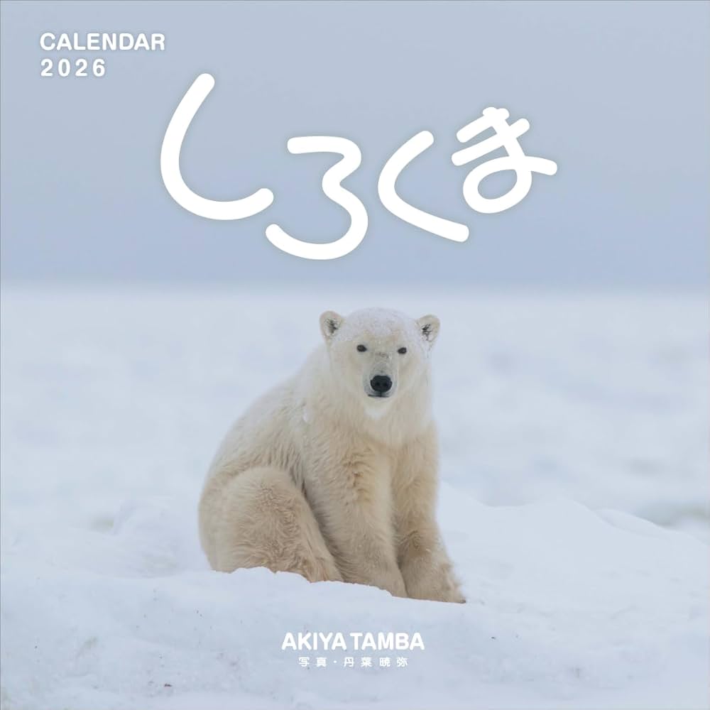 Amazon | 「しろくま」 丹葉暁弥 2026年＜壁掛け＞カレンダー