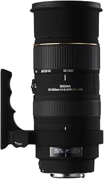 510DGzIMGnS._AC_UF350,