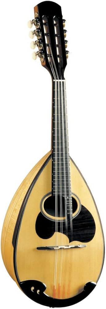 Amazon | 鈴木 マンドリン M-30 | マンドリン | 楽器・音響機器