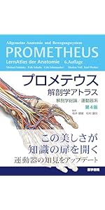 プロメテウス解剖学アトラス 解剖学総論/運動器系 第4版 | 坂井 建雄