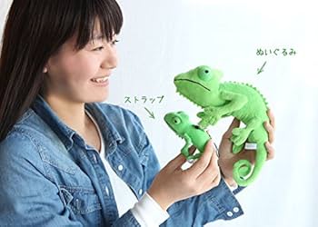 510vcL9NJlL._AC_UF350,