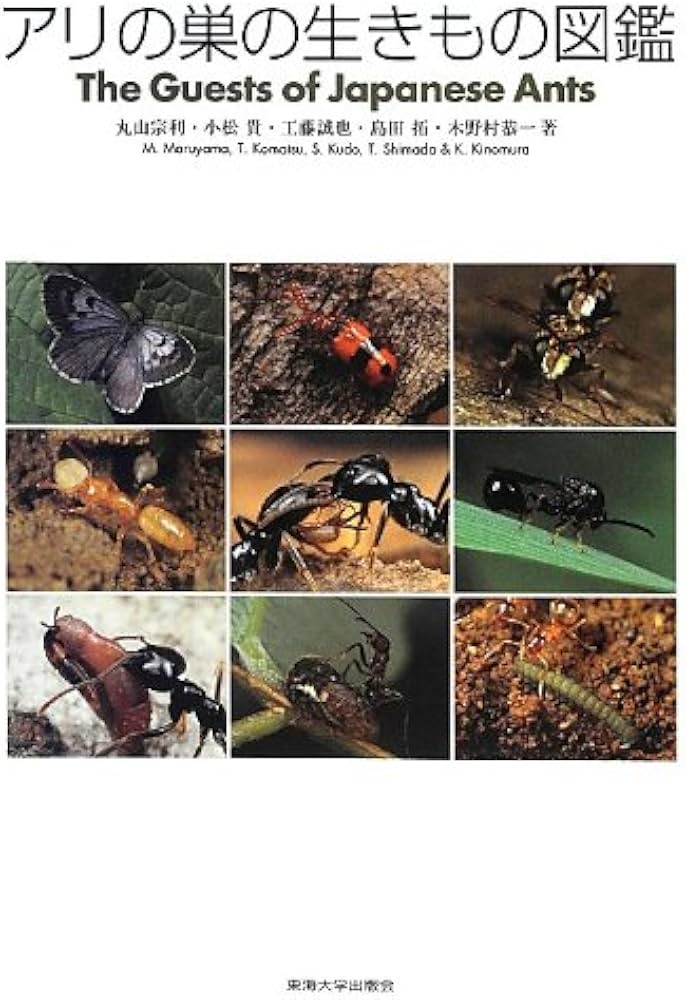 Amazon.co.jp: アリの巣の生きもの図鑑 : 丸山 宗利: 本