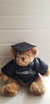 511TxJ8BTgL._AC_UF350,