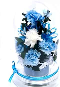 511wuOCINGL._AC_UF350,