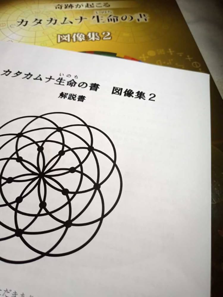 カタカムナ生命の書 図像集2 丸山修寛 Amazon.co.jp: カタカムナ生命の