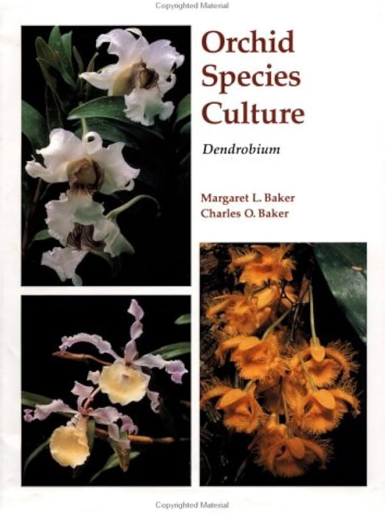 Amazon.co.jp: Orchid Species Culture: Dendrobium : Baker, Margaret