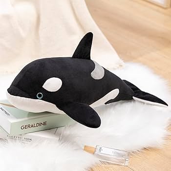 512cr229-fL._AC_UF350,