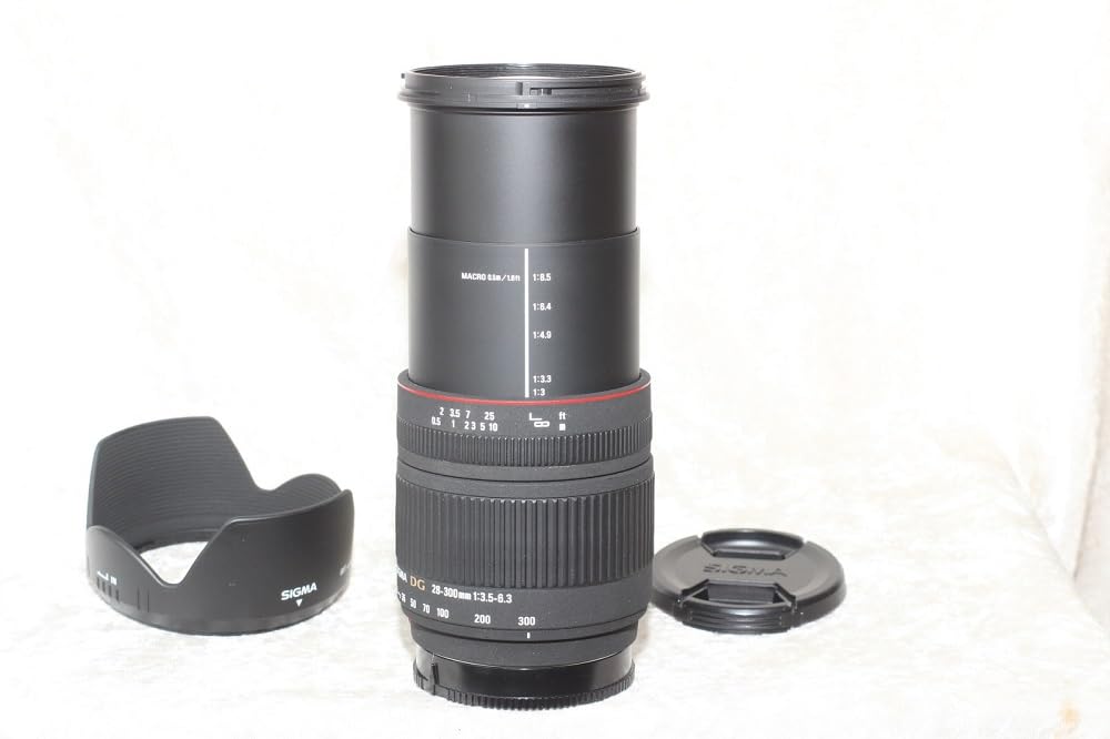 Amazon.co.jp: シグマ 28-300mm F3.5-6.3 DG MACRO ソニー用 : 家電