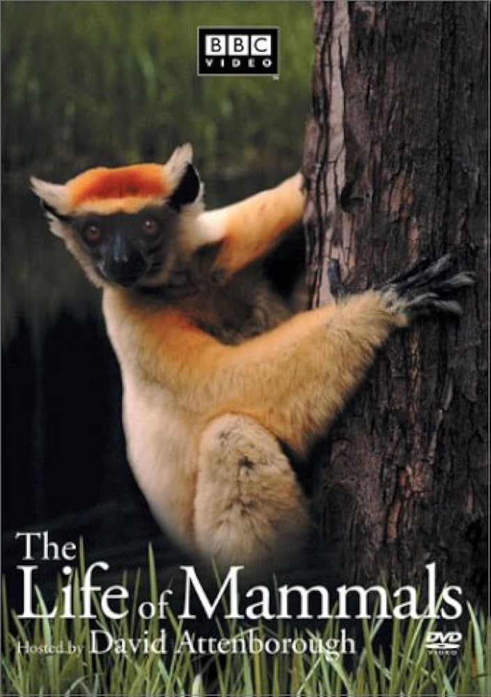Amazon.com: The Life of Mammals, Vol. 3 : David Attenborough