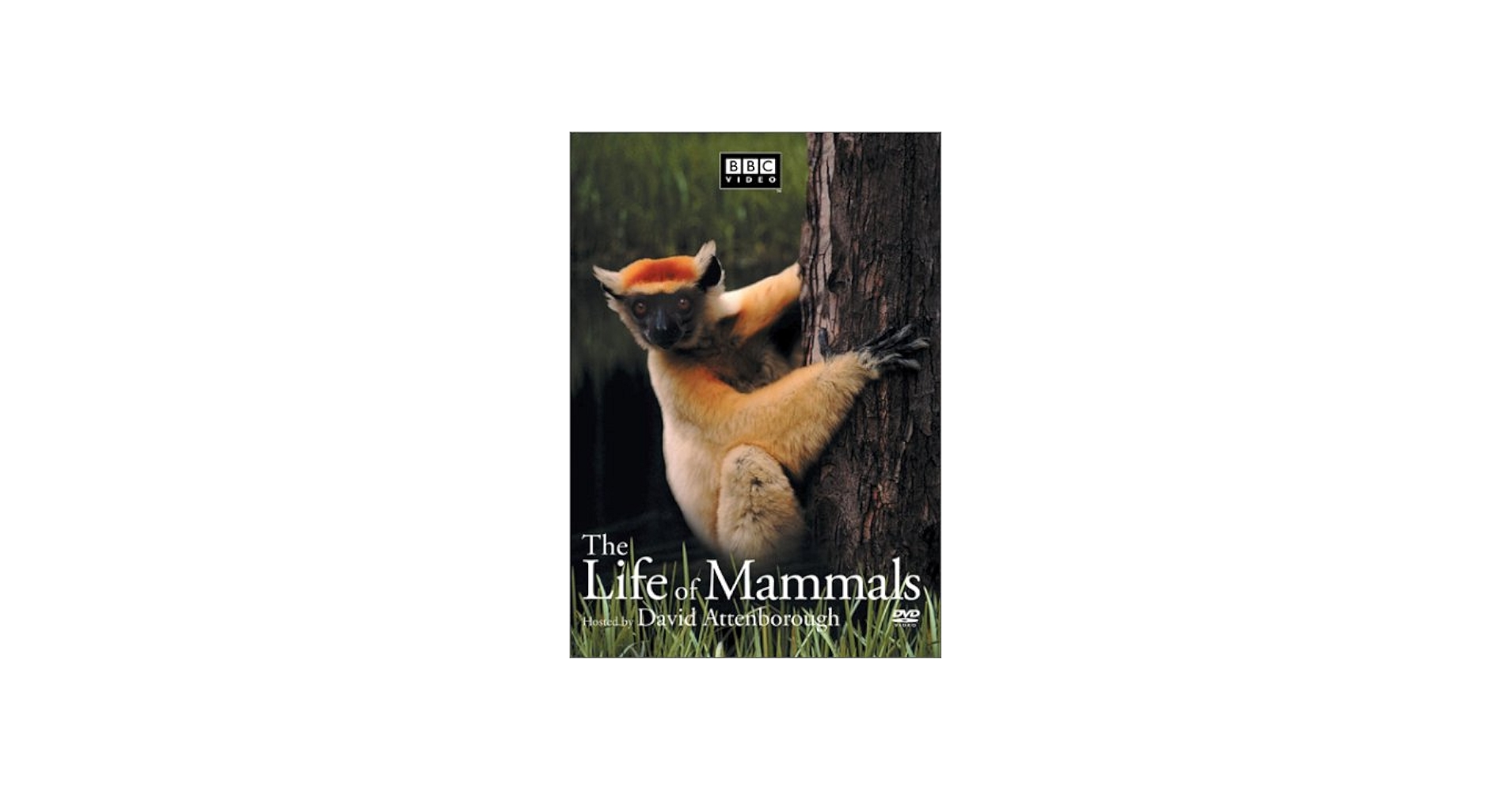 Amazon.com: The Life of Mammals, Vol. 3 : David Attenborough