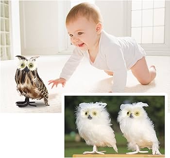 5134UtEl+gL._AC_UF350,