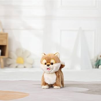 5134dZQKPjL._AC_UF350,