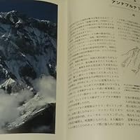 ヒマラヤアルパイン・スタイル: 最も魅力的なルートからの高峰登山