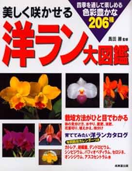 513Ee3wGmrL._AC_UF350,