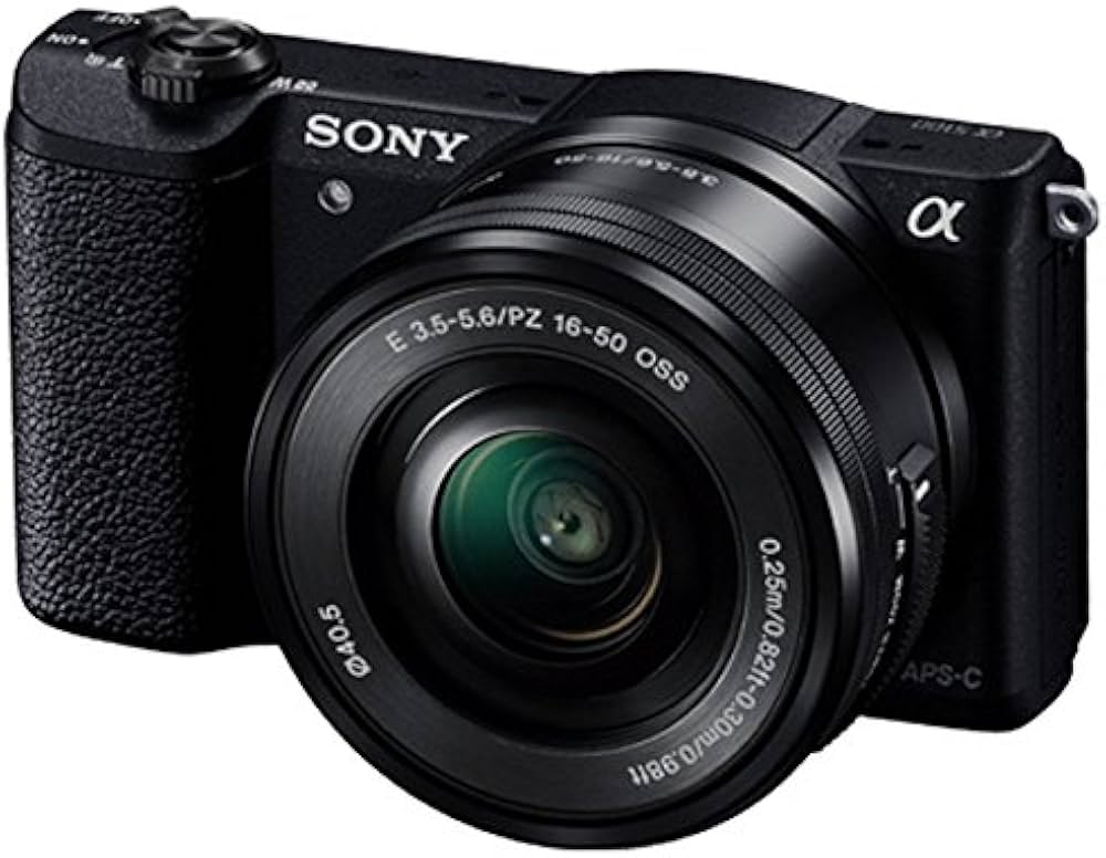 Amazon.co.jp: ソニー ≪海外仕様（PAL/NTSC）≫α5100 パワーズーム