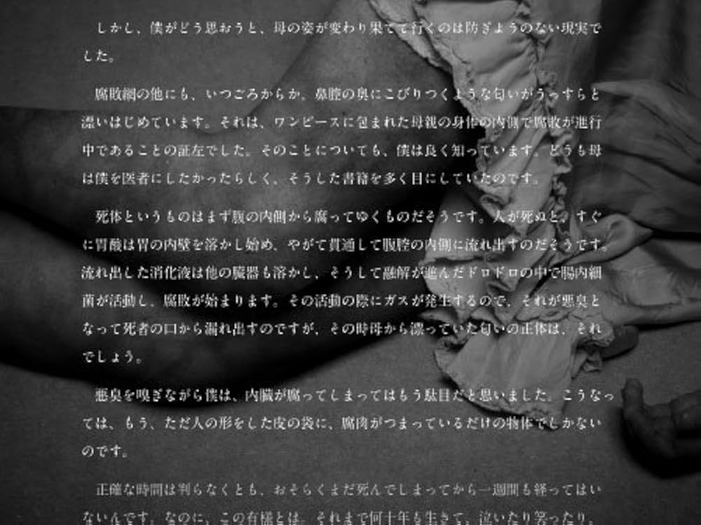 Amazon | 暗い部屋 | PCゲーム | PCソフト