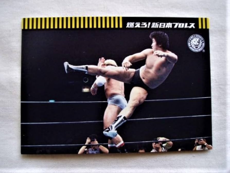 Amazon.co.jp: 前田日明 VS ポールオーンドーフ フライングニール