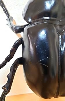 Amazon.co.jp: BIG カブトムシ 昆虫 フィギュア MEGA 特大 大きい