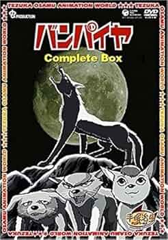 51tnumXESuL._AC_UF350,