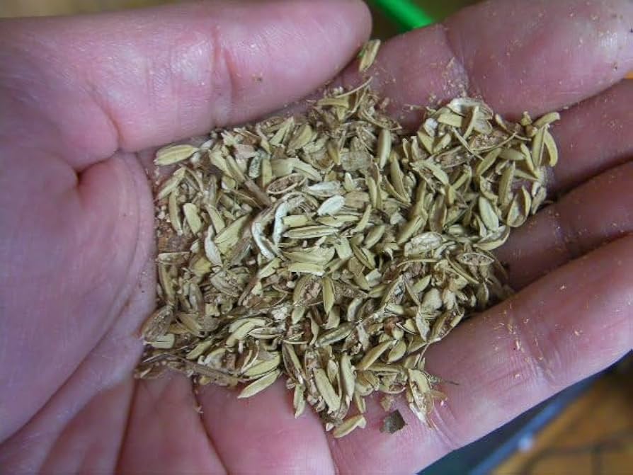 Amazon | 糞尿を分解するマット Bio Gio Mat（バイオジオマット）6L