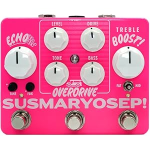 Blackberry JAM Camomile - 所謂テキサスサウンドを再現したコンパクト