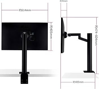 Amazon.co.jp: 【Amazon.co.jp 限定】LG エルゴノミクス スタンド