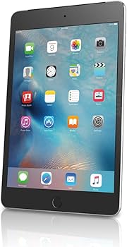 Amazon.com : Apple iPad Mini 4 16gb Space Gray (Renewed) : Electronics