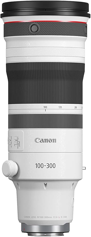 Amazon.com : Canon RF100-300mm F2.8 L is USM, RF Lens, Mirrorless