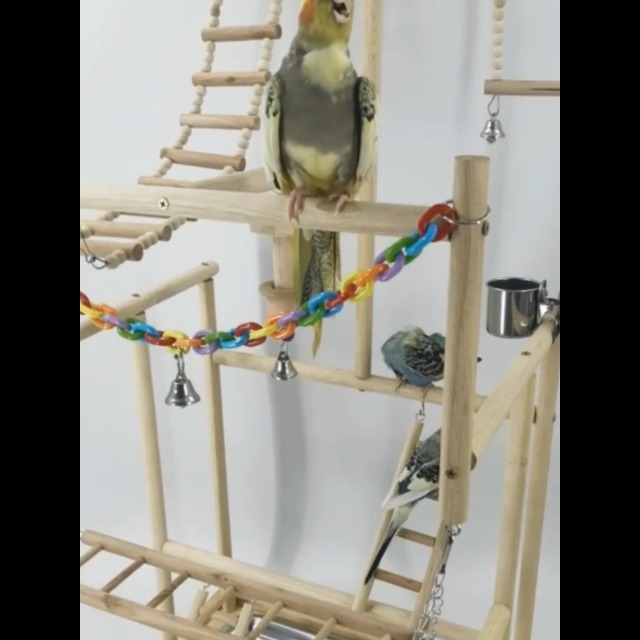 Amazon | バードアスレチック 鳥 遊び場 四層 バード アスレチック