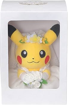 51udJwvagcL._AC_UF350,