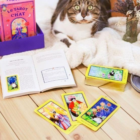 Amazon.co.jp: 2023年 フランスの激かわデッキキュートな猫たちの