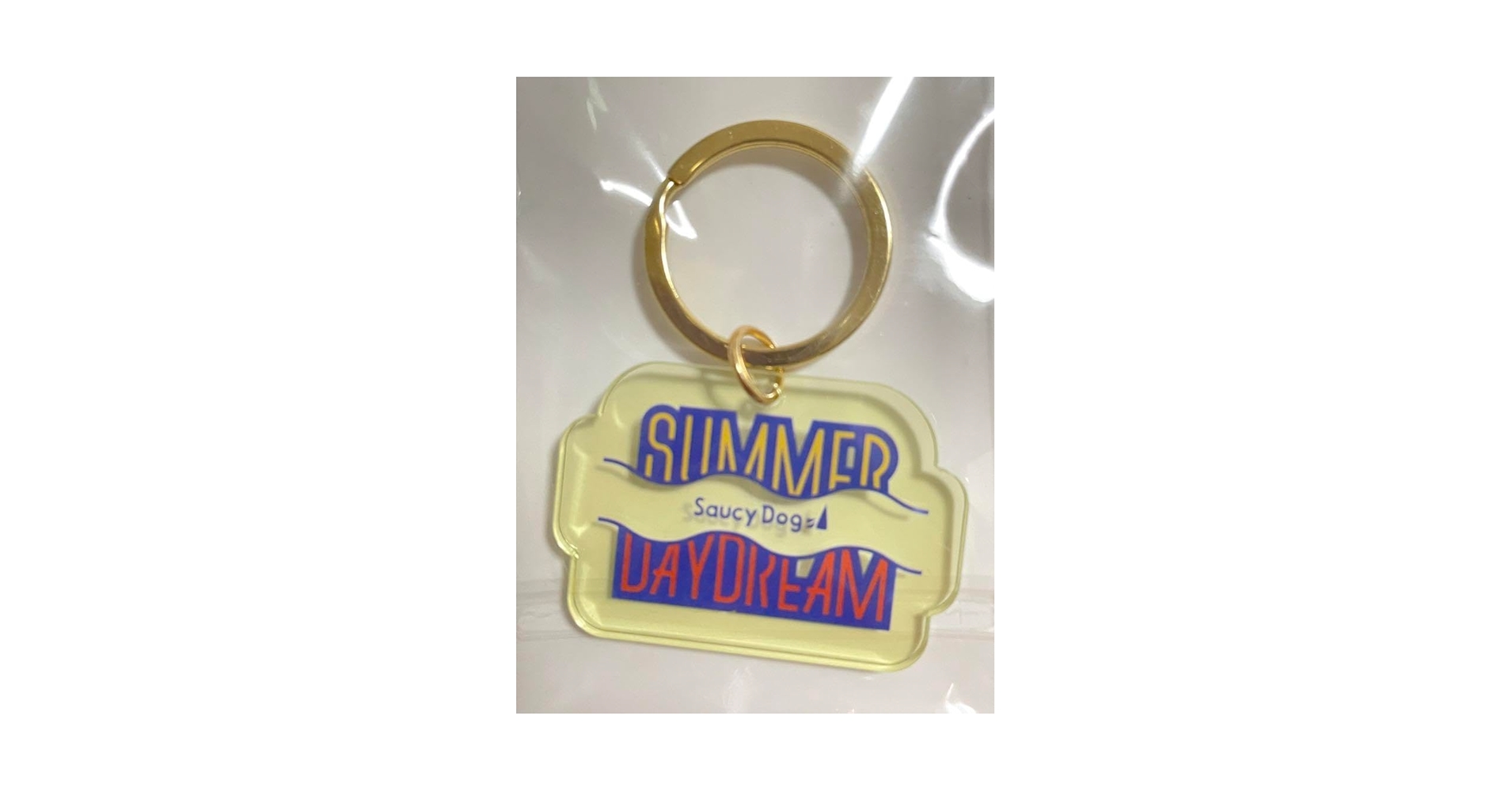 Amazon.co.jp: saucy dog サウシードッグ アクリルキーホルダー : Toys