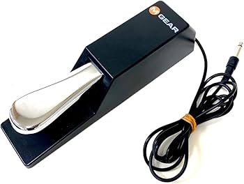 Amazon | Roland ローランド / JUNO-DS61【ロゴ入りソフトケース付