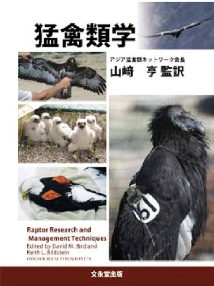 猛禽類学 | 山崎 亨 |本 | 通販 | Amazon