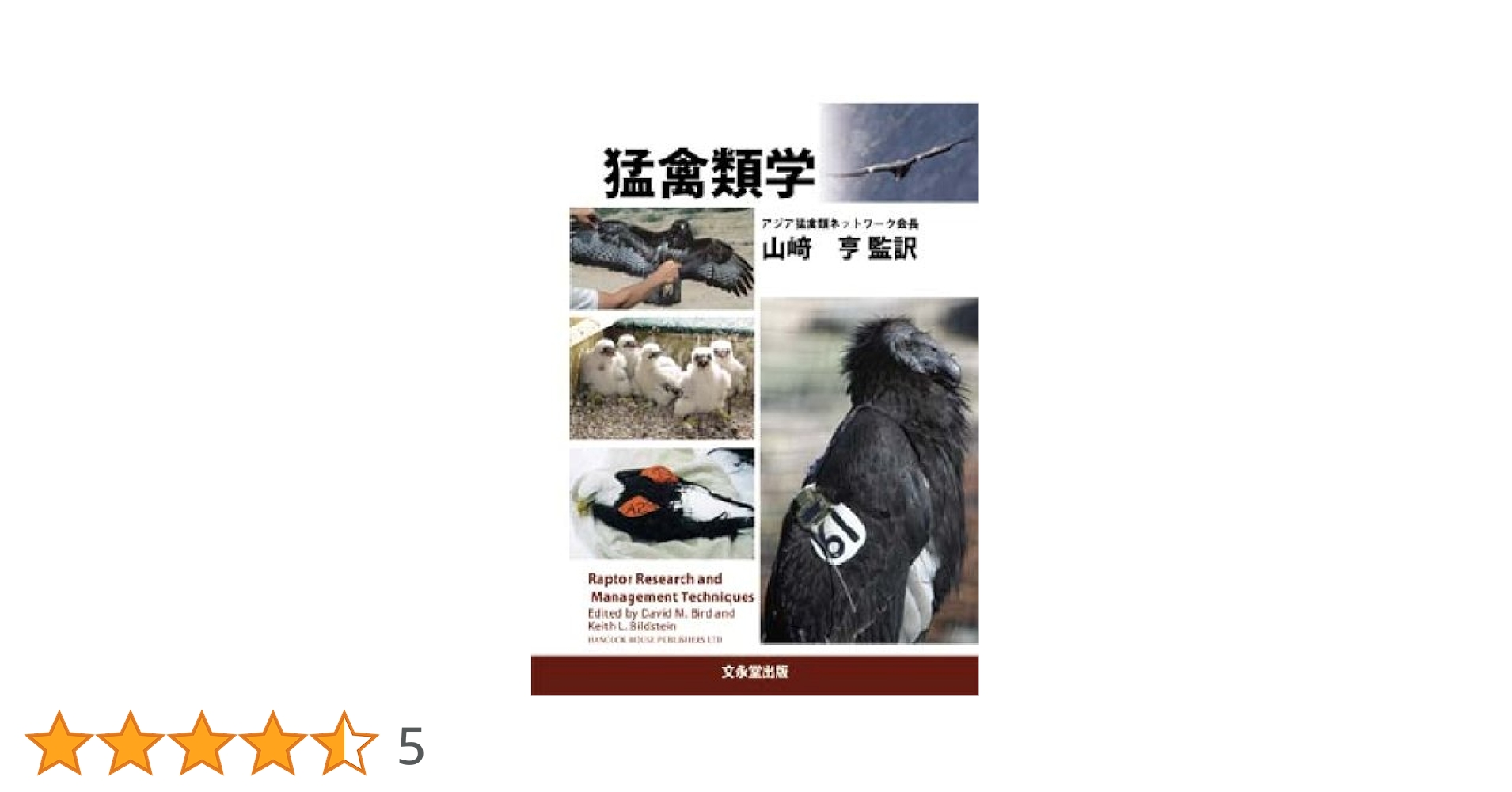 Amazon.co.jp: 猛禽類学 : 山崎 亨: Japanese Books