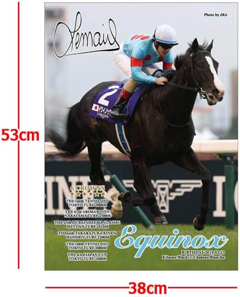 Amazon | 「イクイノックス」6冠記念Ver.ジグソーパズル500ピース