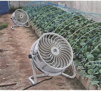 51wkD8pmydL._AC_UF350,