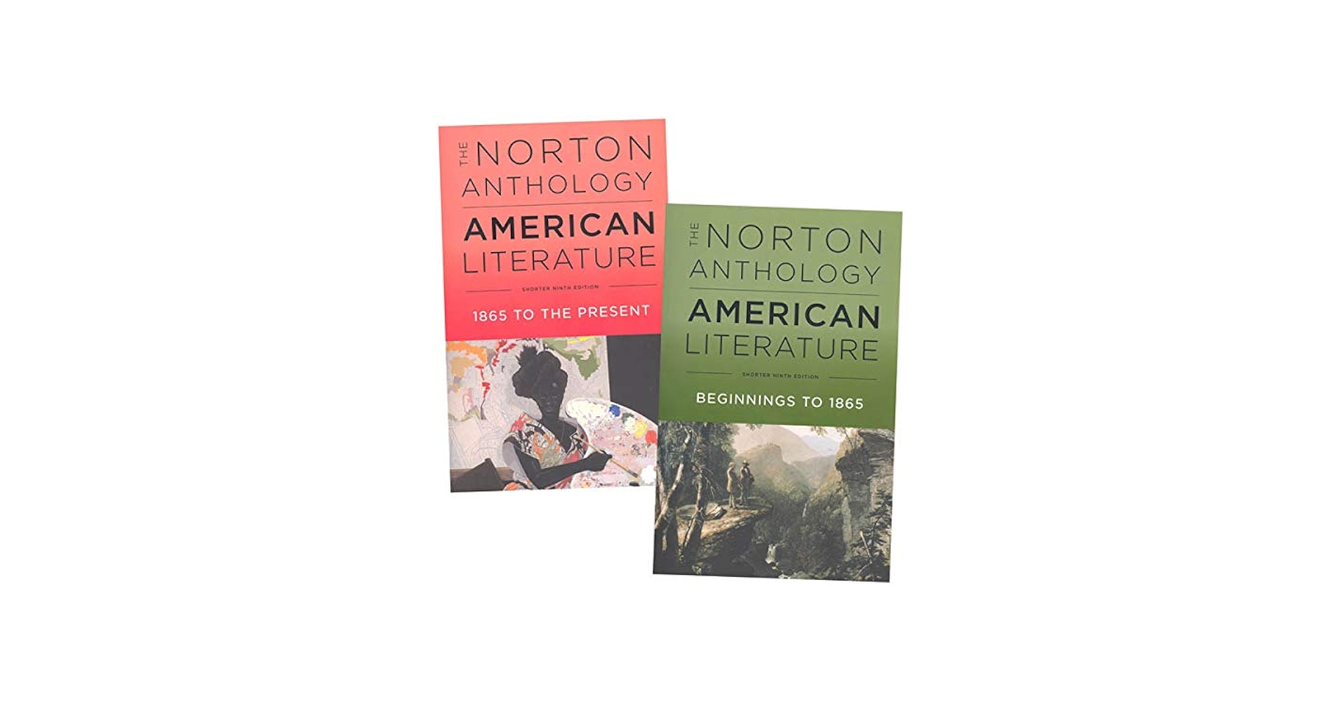 The Norton Anthology of American Literature: Beginnings to 1865