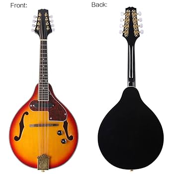 リュージュ ギターとマンドリンの2個セット リュージュ ギターと