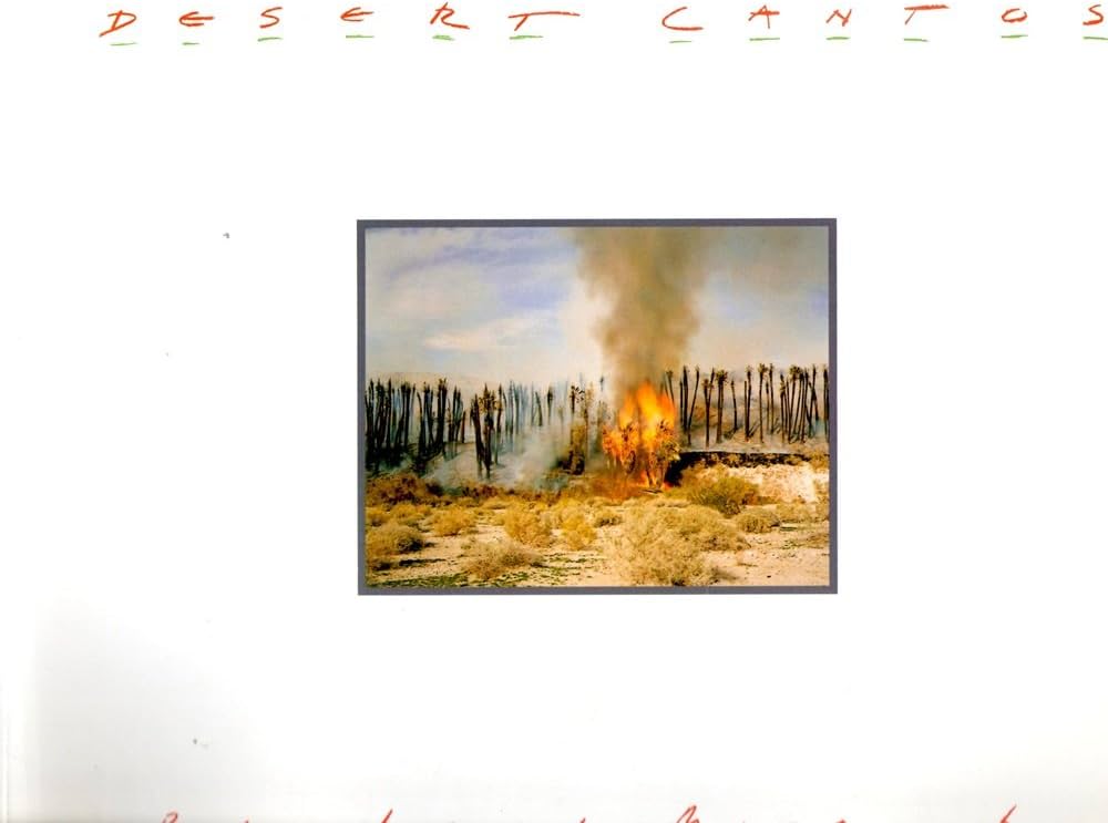 Desert Cantos: Richard Misrach, Reyner Banham: 9780826309280
