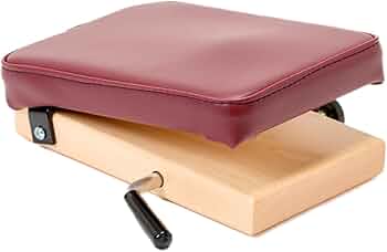 51ydtWfBCQL._AC_UF350,